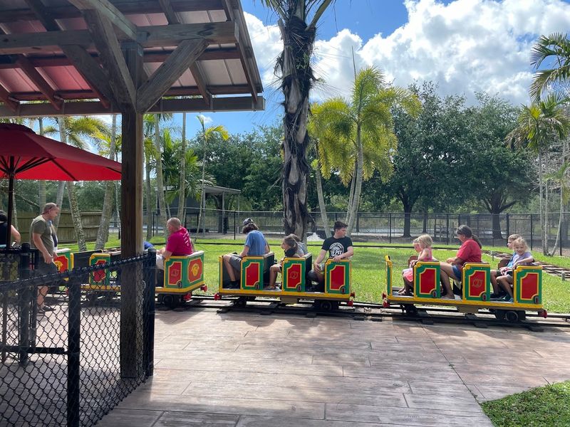 Free Rides at the Amusement Park Section