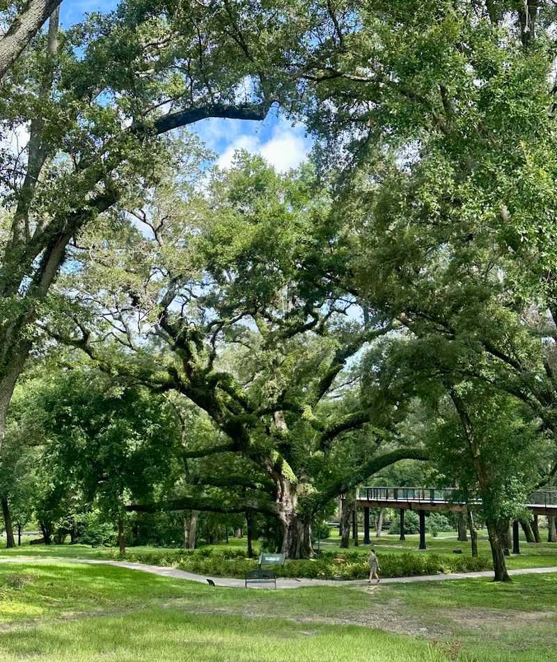 Botanical Gardens and Beautiful Green Spaces
