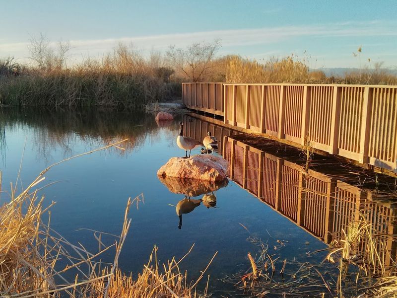 Wildlife Spotting Along Every Trail