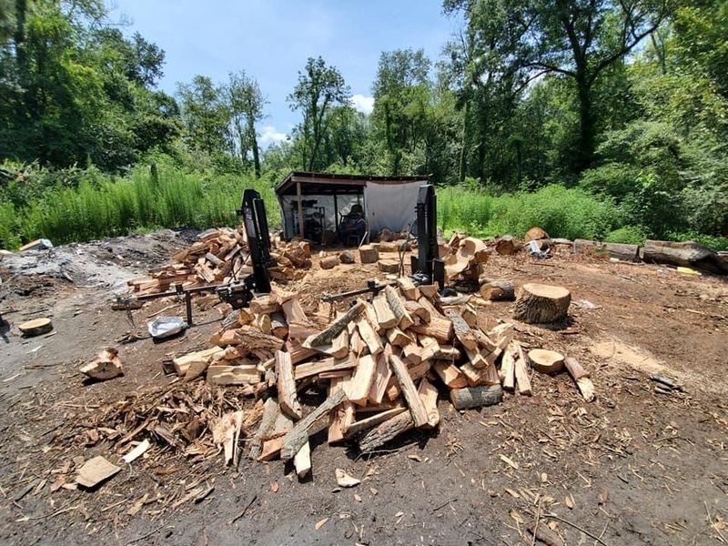 The Best Whole Hog BBQ In South Carolina Comes From This Legendary Pit Stop 3 Hickory, Oak, and Pecan Wood Make All the Difference