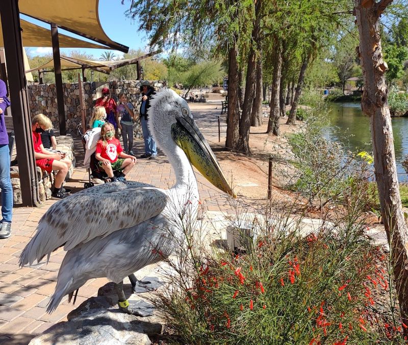The Narrated Tram Ride