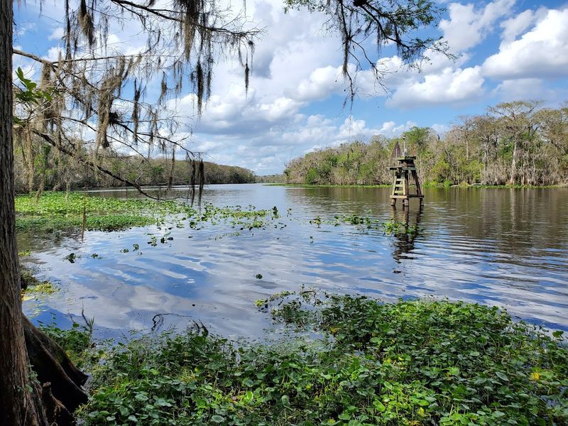 The St. Johns River Views
