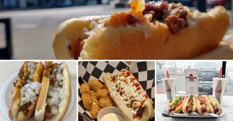 The best hot dog spots in every state, ranked