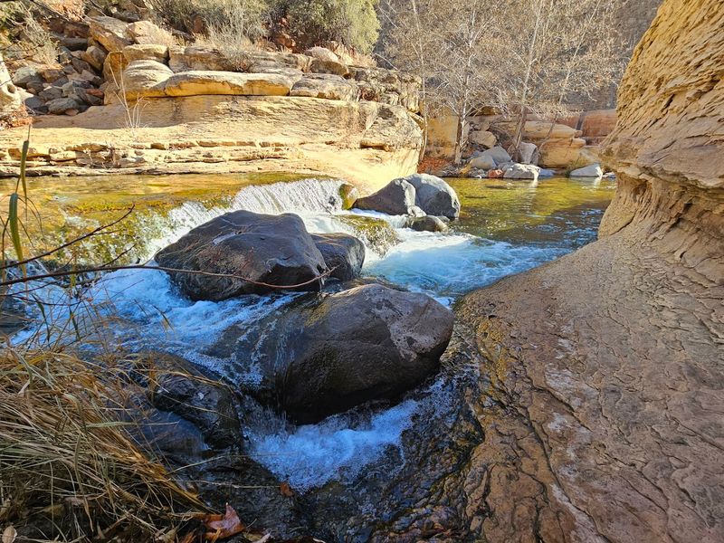 Cold creek water that feels amazing on hot days