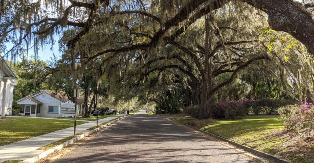 The peaceful town in Florida where relaxed coastal living comes at a surprisingly manageable cost