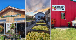 The top farm shops in every state for fresh food, ranked