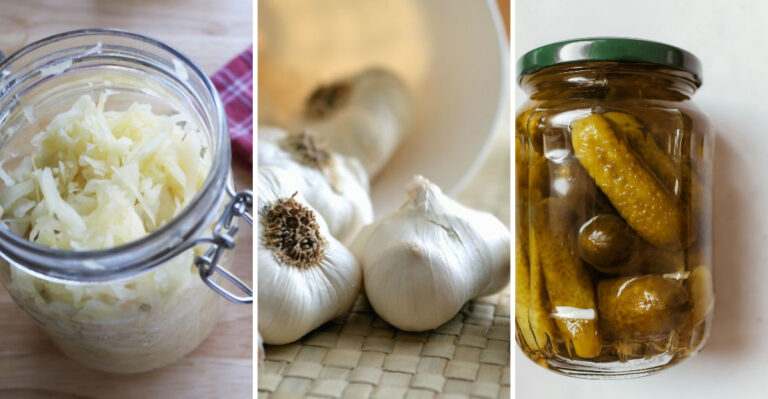 The top foods to support better gut health