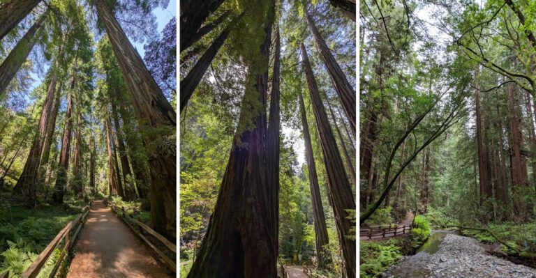 This 1.5-Mile California Hike Is So Beautiful, It Stays On Your Mind