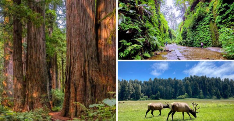 This 14,000-Acre California State Park Remains One Of America’s Best-Kept Secrets