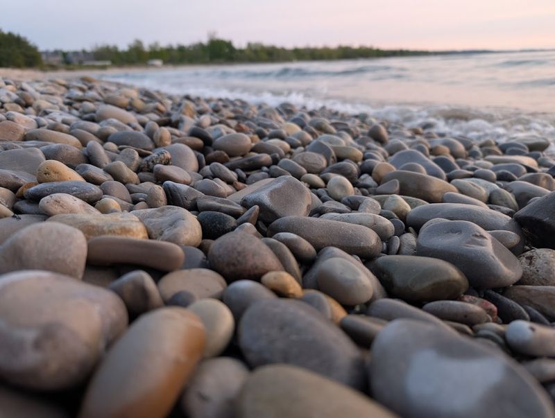 Petoskey Stones: Michigan's Official State Stone