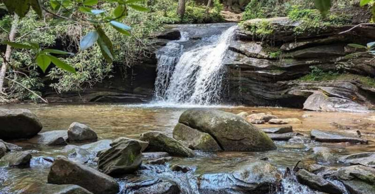 This 3,083-acre South Carolina park offers a resort-like feel for free
