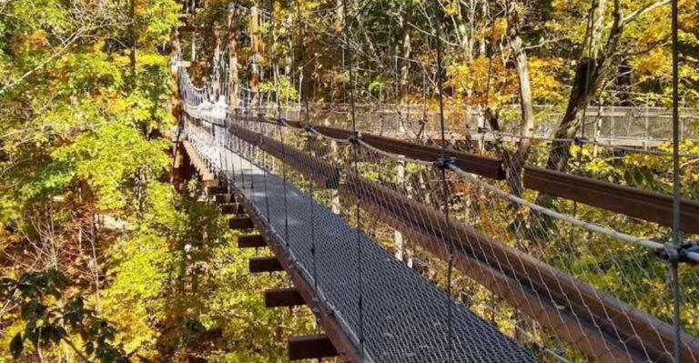 This 65-foot treetop walkway in Ohio offers stunning views year-round