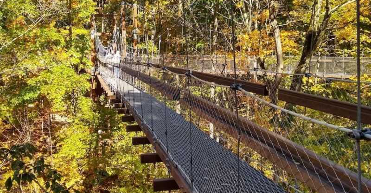 This 65 foot treetop walkway in Ohio offers stunning views year round