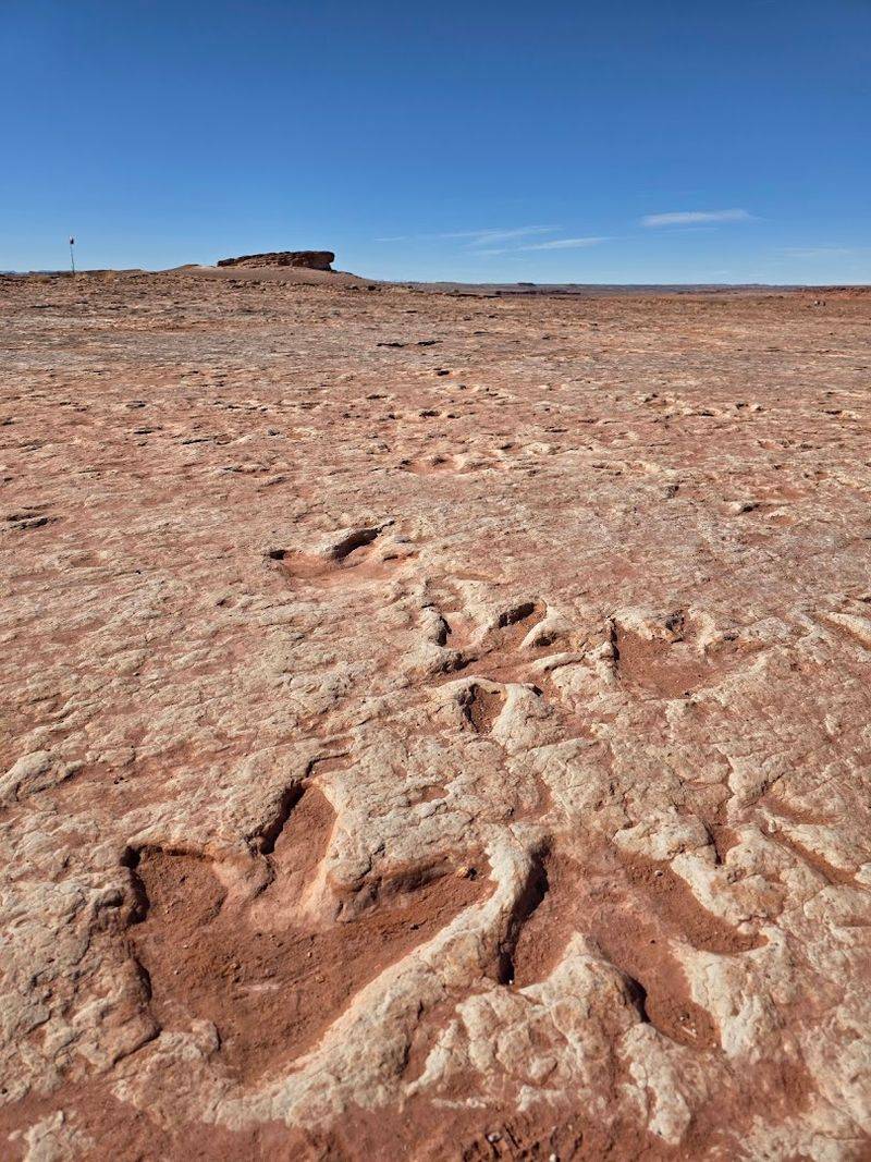 This Arizona trail is like a real-life Jurassic Park with actual dinosaur tracks 2 Ancient Footprints Frozen in Time