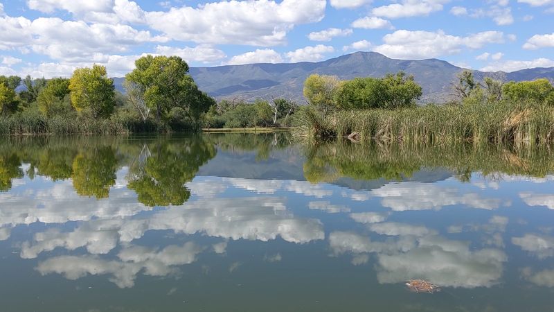 This Beautiful Arizona State Park Is Perfect For Letting Go Of Stress 2 Fishing in Three Scenic Lagoons