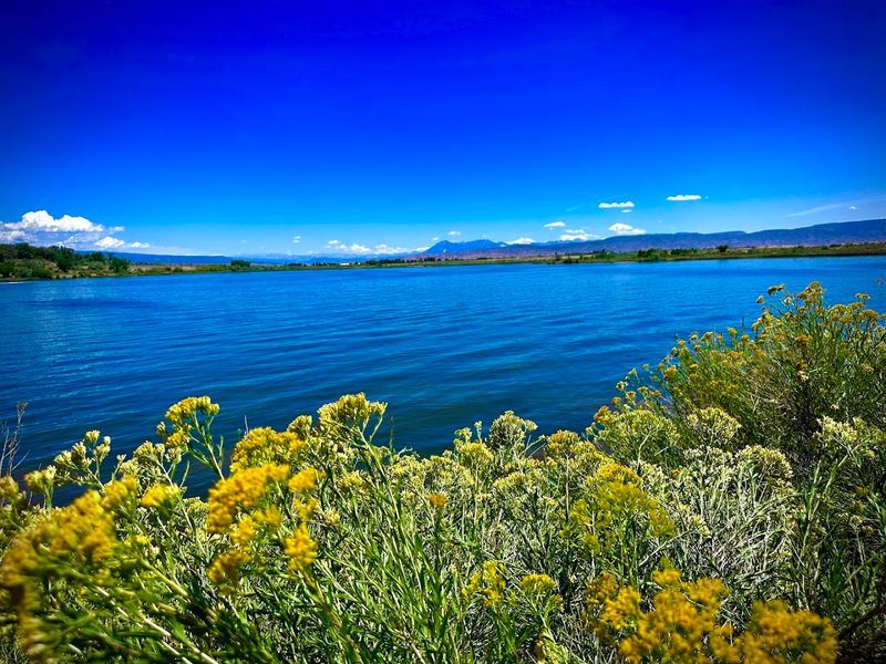 A Lake That Looks Like a Painting