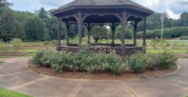 This Beautiful Georgia Town Lets Couples Live Comfortably On Social Security