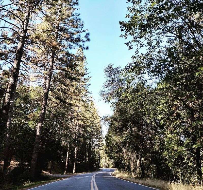 This California mountain town is winning over retirees with fresh air, slower days, and postcard views 2 Fresh Mountain Air That Feels Like a Daily Reset