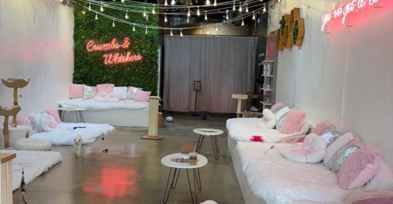 This Cozy Cat Cafe In California Is Perfect For Anyone Who Loves Cats
