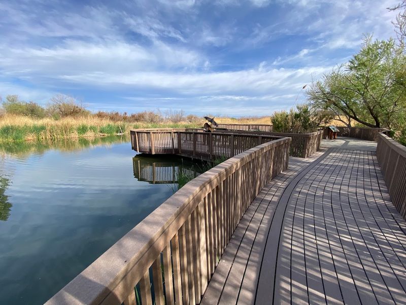 The Weir Bridge: A Desert View That Defies Belief