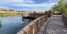 This Easy Nevada Hike Is So Stunning, It’ll Stay With You for Days