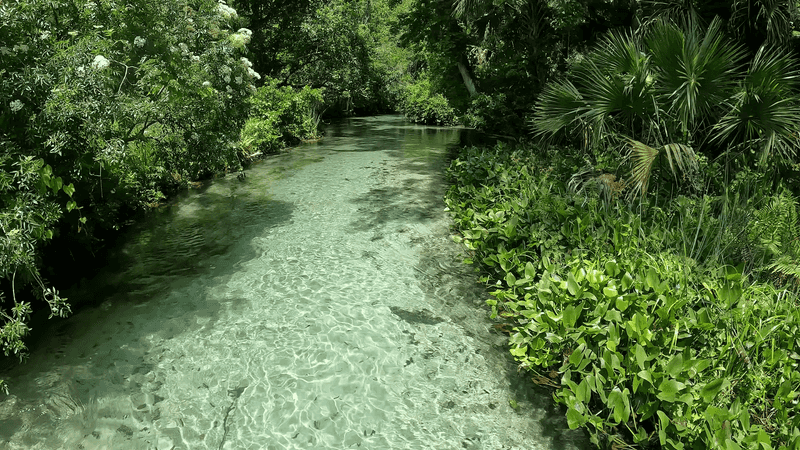 The Emerald Cut: Where the Water Looks Unreal