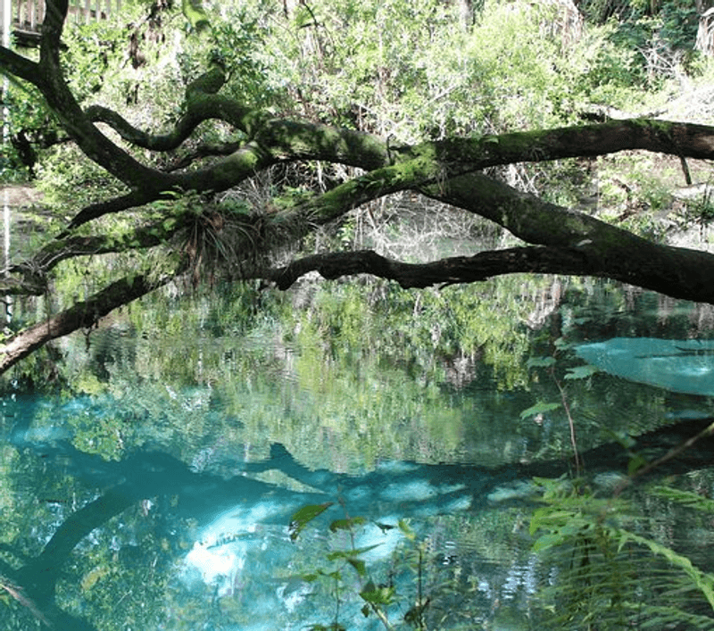 Crystal-Clear Water That Looks Painted On