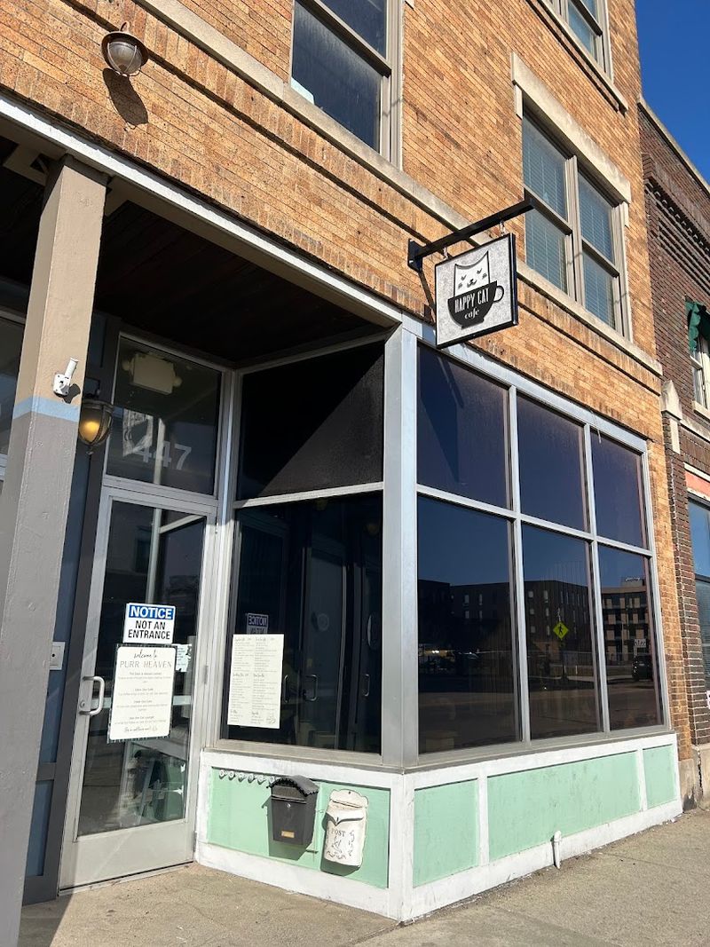 Where Exactly Is Happy Cat Cafe Located