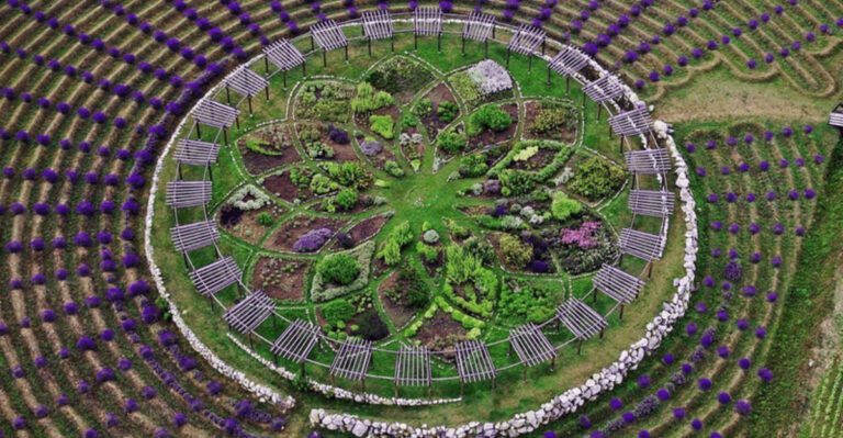 This Huge Lavender Labyrinth In Michigan Is So Big, You Can See It On Google Earth