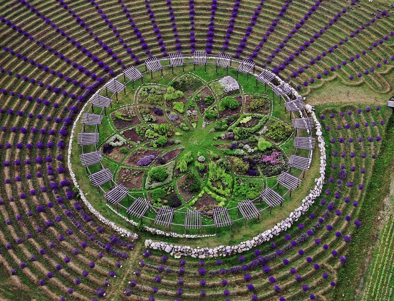The Lavender Labyrinth That Took Over Google Earth