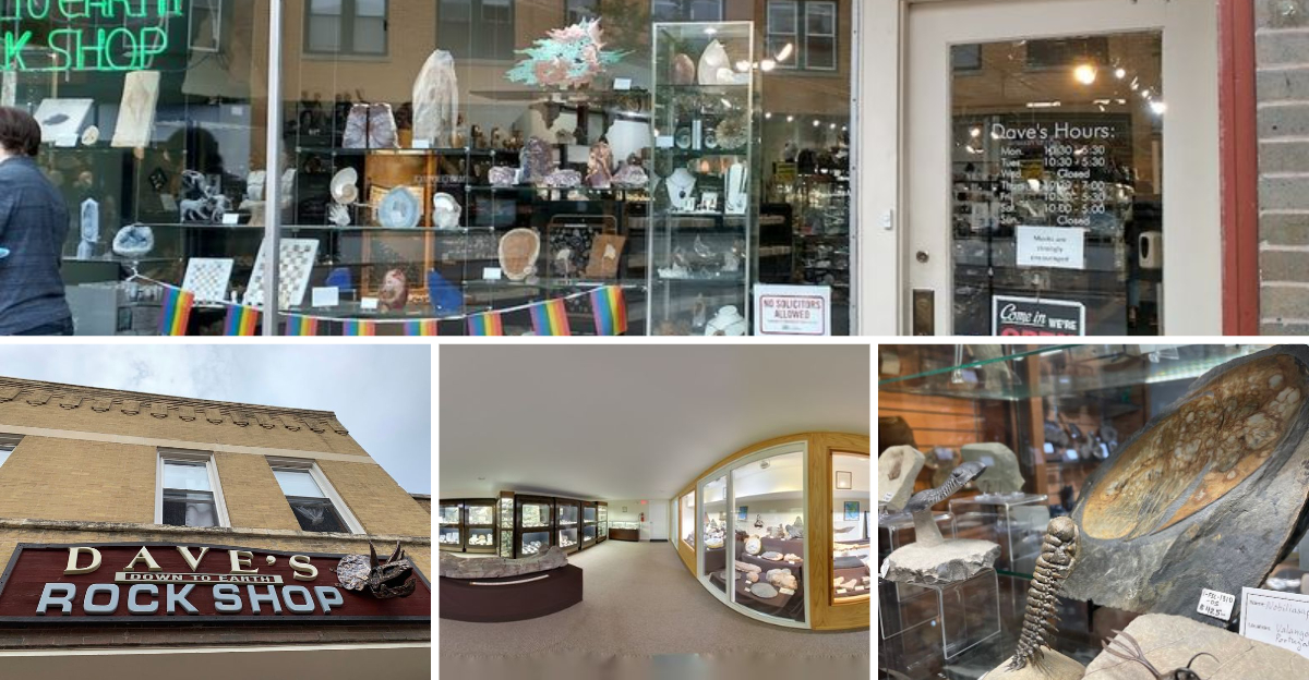 This Illinois mineral shop is home to a hidden underground dinosaur museum