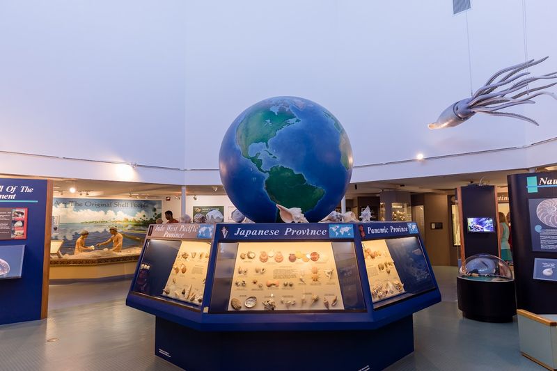 The Great Hall of Shells: A Room That Will Stop You in Your Tracks