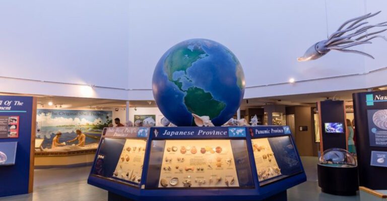 This Little-Known Florida Museum Holds One of the World’s Most Incredible Shell Collections