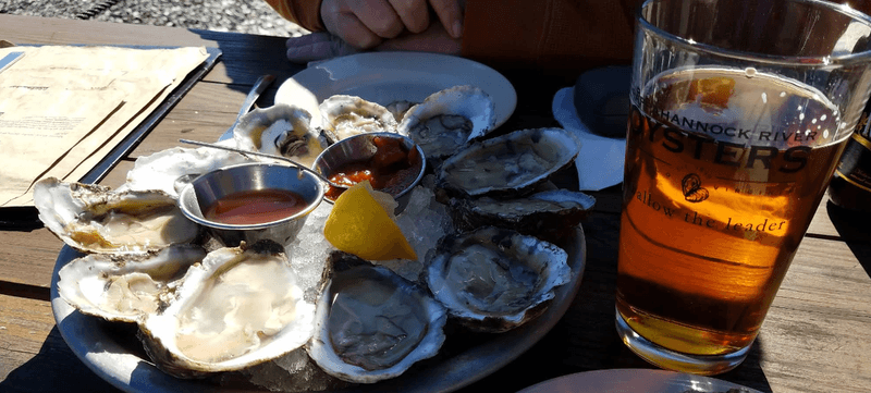 Fresh Oysters Straight From the Rappahannock River