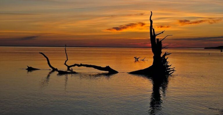 This Strange Florida Beach Feels Like Another Planet