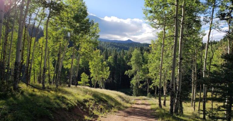 This Stunning Colorado State Park Feels Almost Unreal