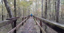This Tennessee State Park Spans 4,000 Acres And Looks Like A Fairytale