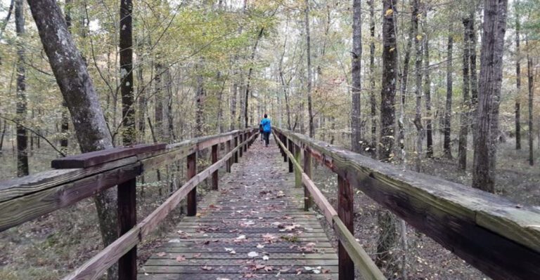 This Tennessee State Park Spans 4,000 Acres And Looks Like A Fairytale