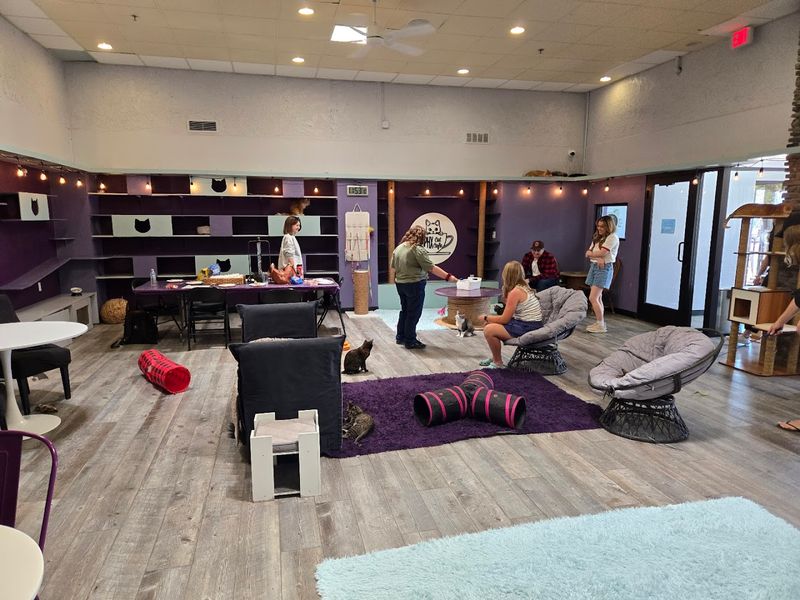 A Nonprofit With a Big Heart