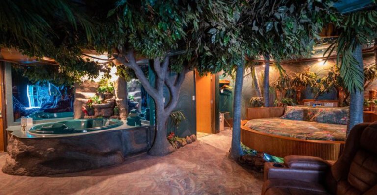 This Unique Illinois Hotel Lets You Sleep In A Rainforest, Cave Or Even Space