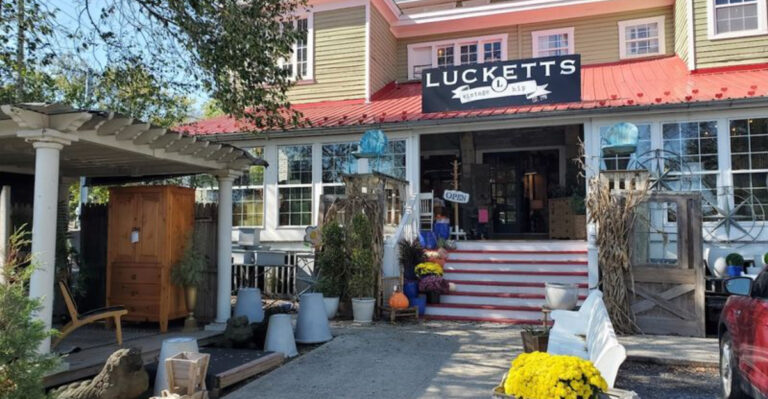 This Virginia antique shop draws visitors with its vintage finds at low prices