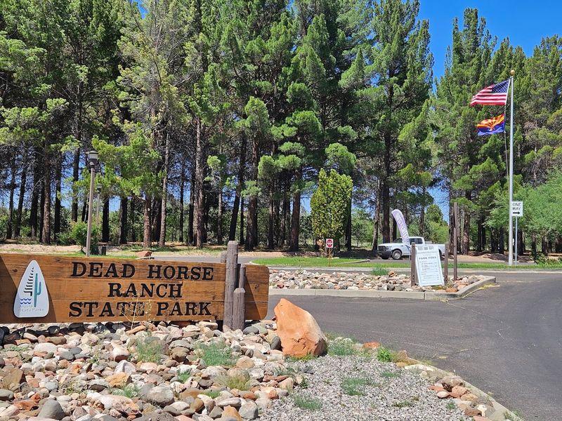 The Story Behind the Quirky Name