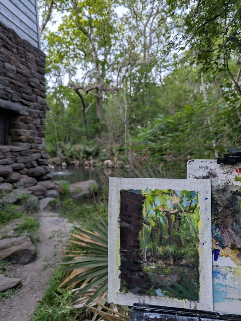 The Dwarf Palmetto Plants That Steal the Show