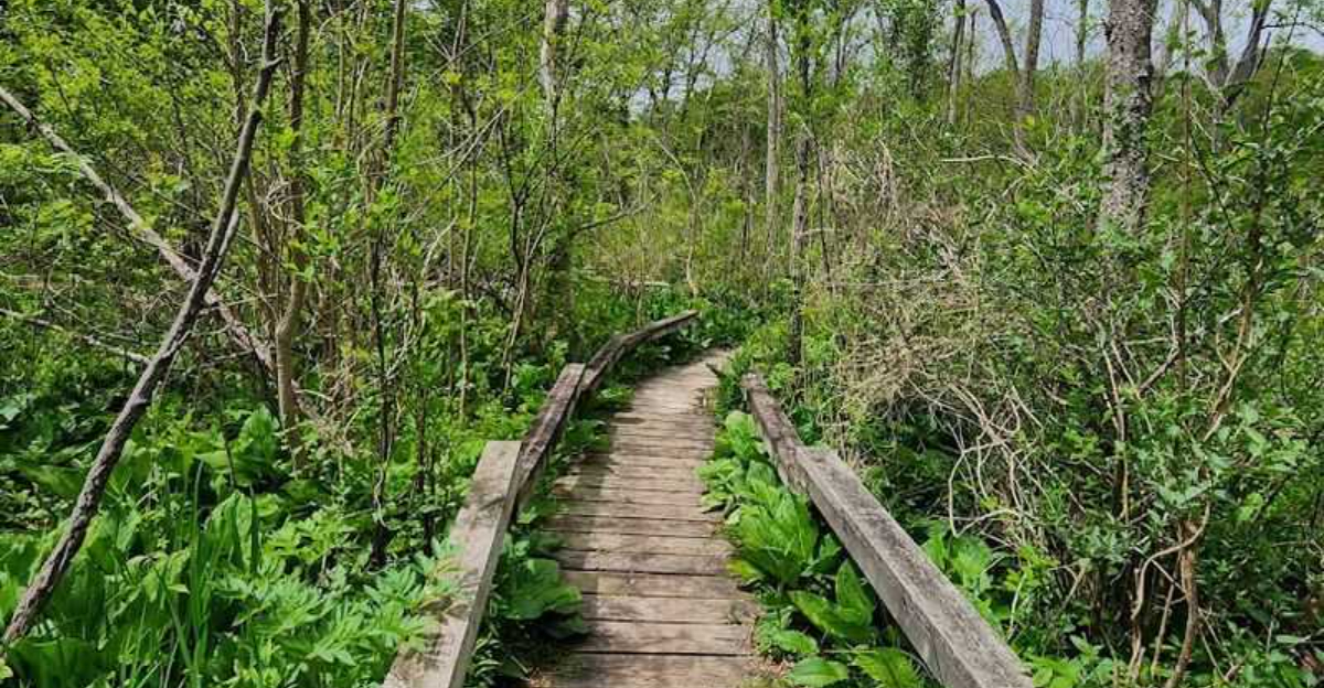 This beautiful botanical garden in Michigan is one most people don’t know about