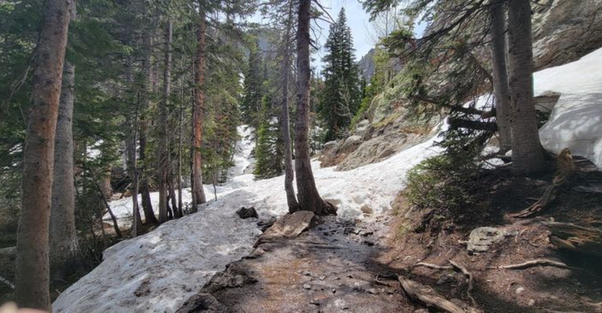 This easy Colorado hike is so beautiful, it hardly feels real