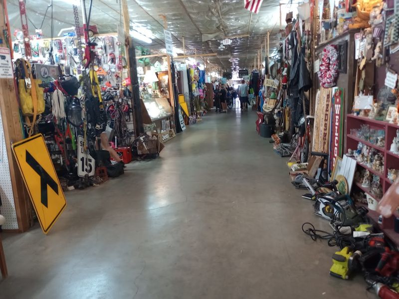 The $25 Cart Challenge: How Far Your Money Really Goes