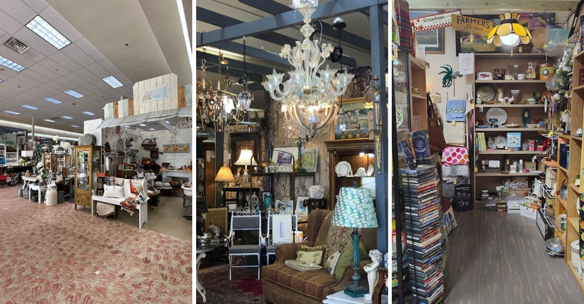 This massive Florida antique store feels like a true paradise for vintage fans