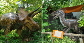This outdoor museum in Tennessee is so fascinating, it’s like stepping into a Jurassic world