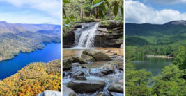 This scenic state park in South Carolina feels like something from a painting