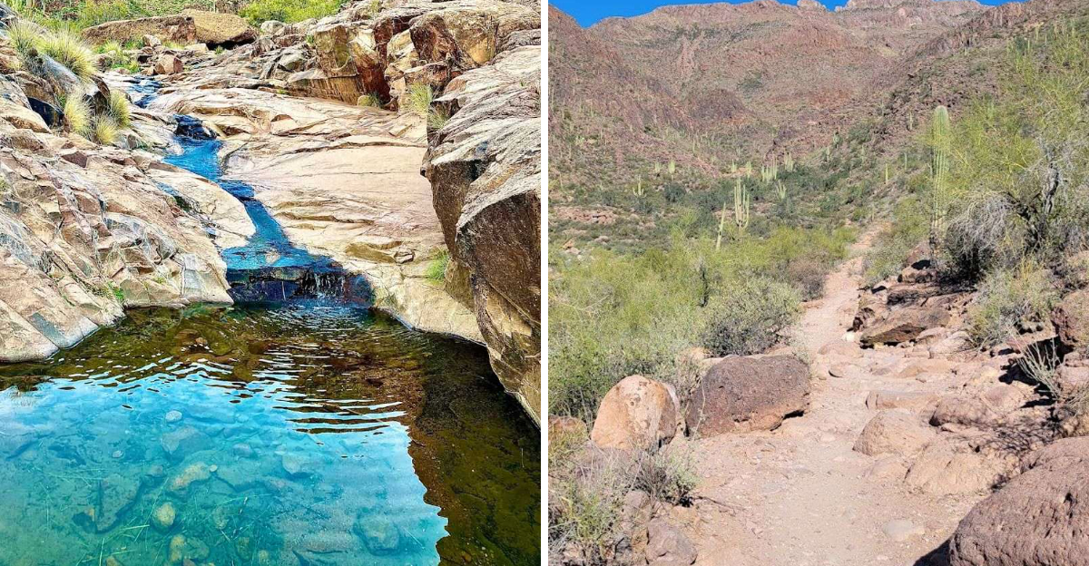 This simple 3-mile hike in Arizona takes you to a hidden waterfall
